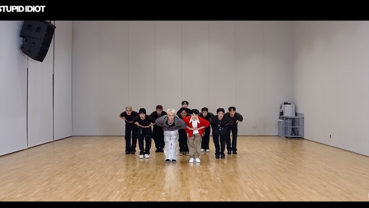 【SEVENTEEN】【غرفة التدريب】«HOSHI X WOOZI - STUPID IDIOT» #غرفة التدريب هي المكان الحقيقي لـ SVT!