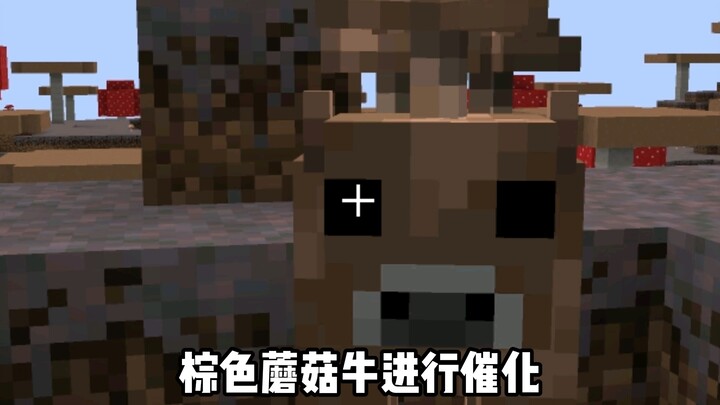 Minecraft’s Special Mooshroom