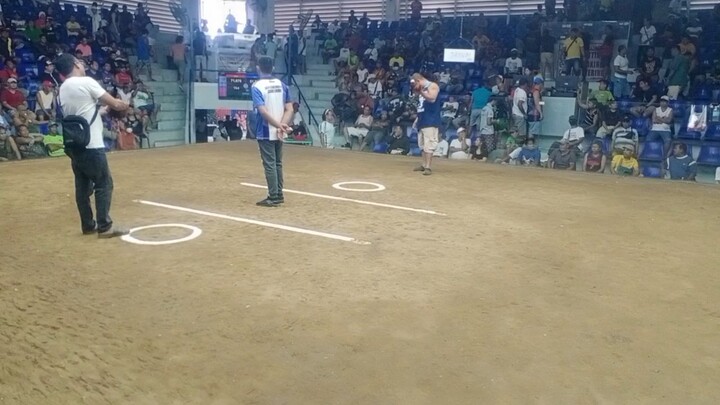 2hit wala...1st win NOV.25 2023 montalban cock pit