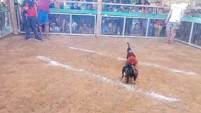 hackfight talo tayo November 26, 2023
