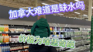 คนแคนาดาไม่ผิดชื่อที่ว่าเลี้ยงดูมาอย่างดีจริงๆ เพราะการดื่มน้ำนั้นทดสอบสติปัญญาเหลือเกิน