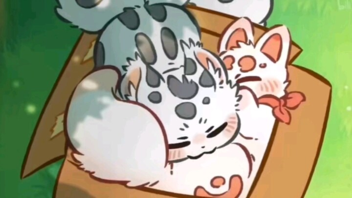 福仔和核桃太可爱了！皮皮还被认成狗了！