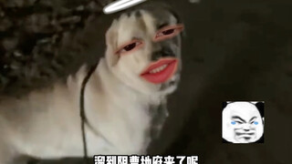 狗子：我真服了