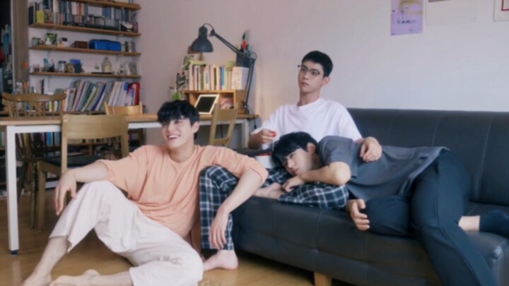 I really wish they were a trio! I just love this kind of 101—this owner is seriously the ultimate ca