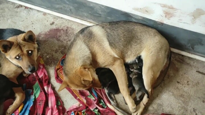 เกิดอีกตั้งเยอะเลย