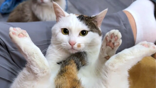 ผู้จัดการห้องน้ำ