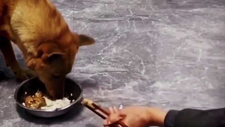 Phúc phận tu từ kiếp trước