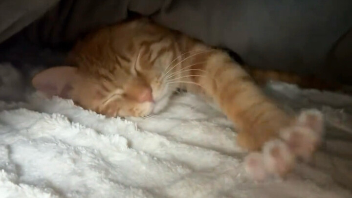 Waking up and rolling over in the morning—only those who've been there can understand.