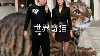 世界上独one无two的猫你见过吗？