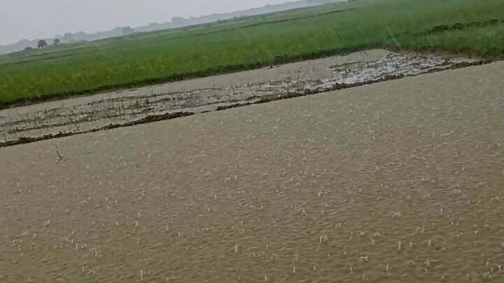 ever day ever event is a constant