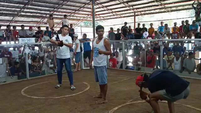 Lethal weapon pang gang gong ( win )