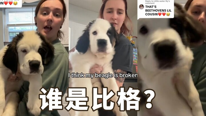 “Who’s the big guy? Is it me?”