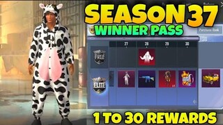 Pubg Lite Season 37 Winner Pass | 1 To 30 Rewards 🥰 | Season 37 Winner Pass Pubg Lite | Season 37 Wp