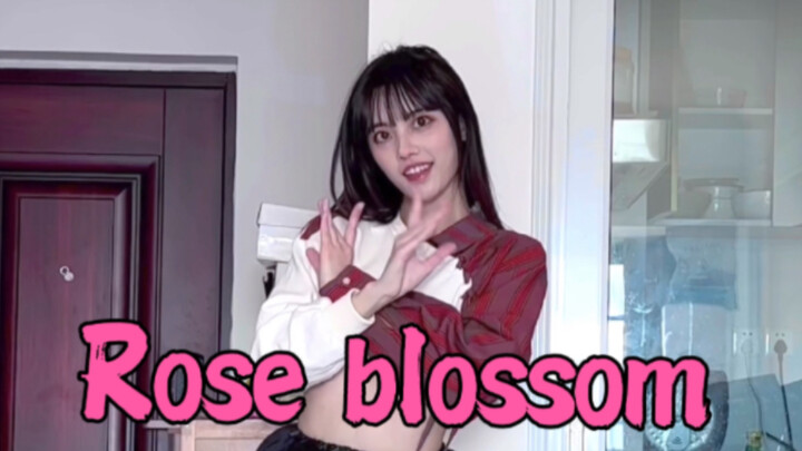 H1-KEY-《ดอกกุหลาบบาน》ดอกกุหลาบบานจนถึงวินาทีสุดท้าย!
