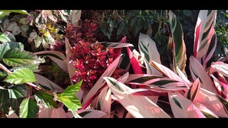 Our Happy moment at Sirao Gargen