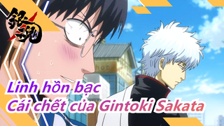 [Linh hồn bạc/MAD] Cái chết của Gintoki Sakata