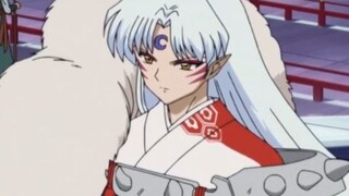 Lingyue Fairy, Seshomaru's mother, saw Seshomaru and thought of Inu no Taisho.