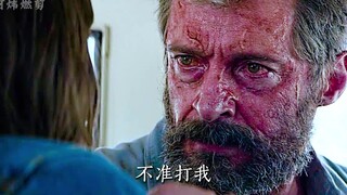 “你伸出爪子时，会疼吗？”“每次都会”“山谷里不会有枪声了