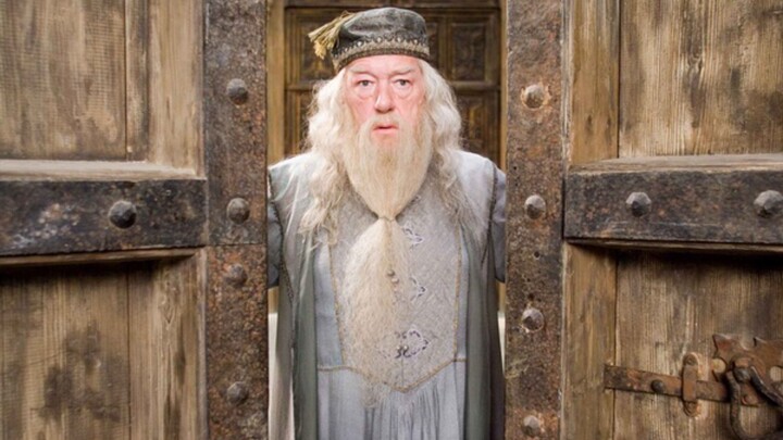 [4K-Dumbledore-High Burning] The Greatest Wizard-Dumbledore