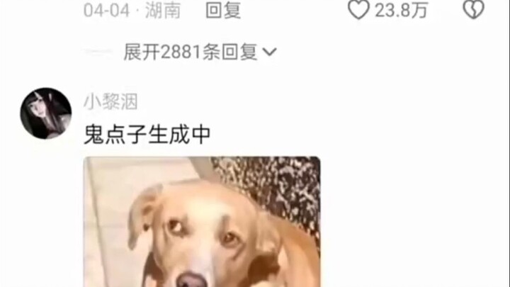 Dogs can always pick out the one person in a group who's most afraid of them.