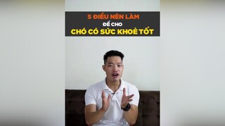 5 điều nên làm để cho cún có sức khoẻ tốt petonesaigon petnhatrang tuitienpet dcgr