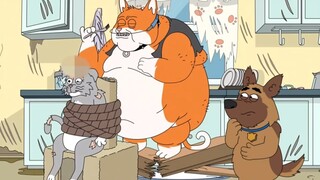 畜生子弹瘟疫猫