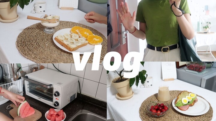 Winn | VLOG 34 | A Week in the Life of a Solo Living Girl | Three Meals a Day | Growing Tiny Cacti |