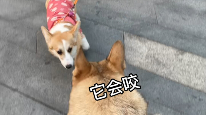 Should I say you're naive, or that your courage is admirable?