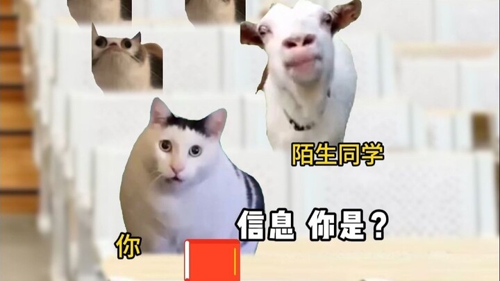 Kamu yang pergi menghadiri kelas terakhir saat Hari Nasional: Astaga, kok kuliahku jadi kayak SMA si