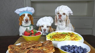 Dogs Cook Breakfast ไอเดียอาหารเช้าแสนอร่อยพร้อมสุนัขตลก Maymo Penny & Potpie