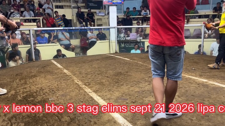 Sweater x lemon bbc 3 stag elims sept 21 2026 lipa
