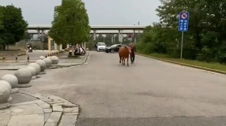 I’ve been practicing this for two and a half years, I guess.