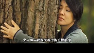 女人每天都要抱树两个小时，只因女儿的一句话！ "电影解说  "或许你也遗憾吧  "宝藏音乐人计划