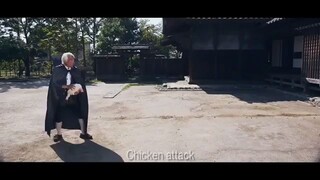 chicken attack~🐓