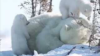 Mom doesn't want to deal with the naughty kid