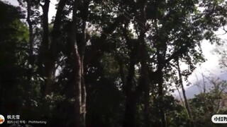 最好的安慰是靜靜的陪伴而不是一直勸人要原諒要放下