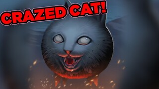 TÔI THỬ ĐÁNH NHAU VỚI CRAZED CAT VÀ.... (cần bạn giúp~.~)