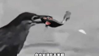 愿者上钩
