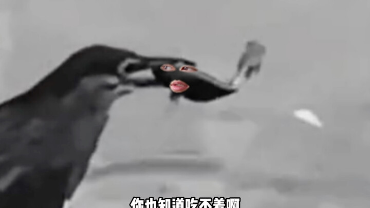 Those who are willing to take the bait