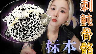 We no longer need to piece together each individual spine! ^Short-spined pufferfish skeletal specime