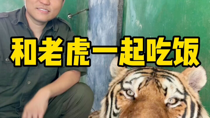 ฉันกำลังแย่งชิงอาหารจากปากเสืออยู่รึเปล่า?