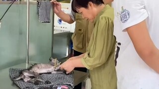 一只被丢弃在垃圾桶里的狗狗，遇到时已经奄奄一息