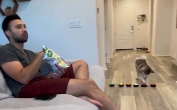 When Dogs Gain the Ability to Communicate with You