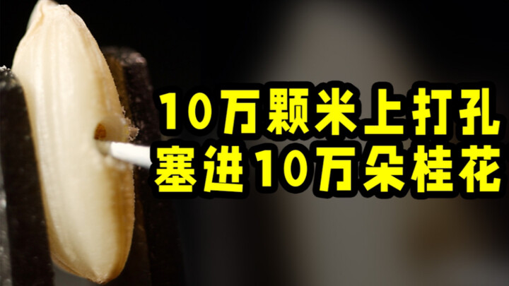 เริ่มจากเจาะรูบนข้าวเหนียว 100,000 เมล็ด แล้วคัดเกสรดอกกุ้ยฮวา 100,000 ดอกมาอุดไว้? หมักให้ได้สุราเล