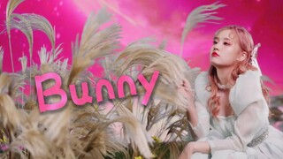 【张楚寒】SOLO单曲「Bunny」官方正式MV、欢迎光临兔子世界！