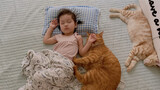 Cute Baby Sleeping With Cute Kittens