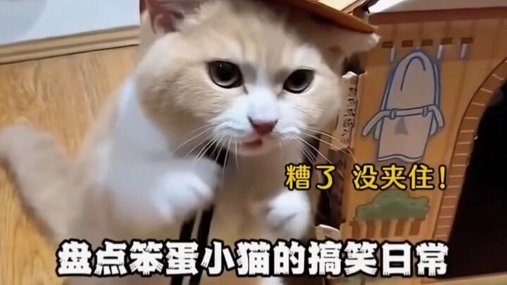 Merangkum keseharian lucu si kucing bodoh.