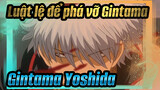 Luật lệ để phá vỡ Gintama| 【Nhạc Anime 】Gintama*Yoshida Shouyou: Chủ nhân và môn sinh