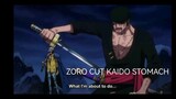 Zoro cut kaido stomach wow