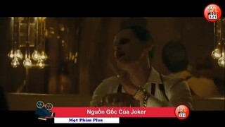 Joker Những Bí Mật Giấu Kín - The Secret About Joker